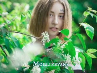 Mollieevans