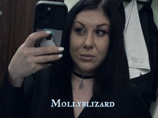 Mollyblizard