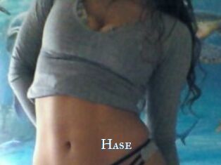 Hase