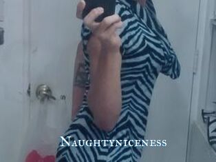 Naughtyniceness