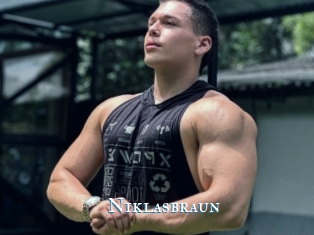 Niklasbraun