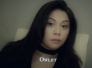_Owlet_