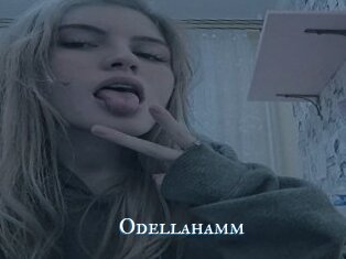 Odellahamm