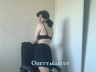 Odettacaecus