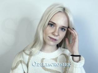Odiliacrosier