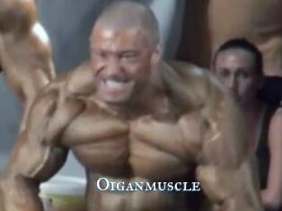 Oigan_muscle