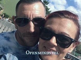 Openmindstel