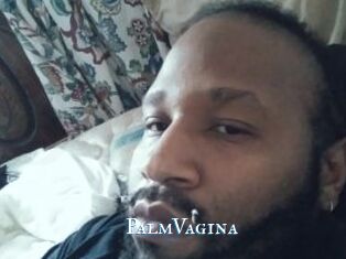 PalmVagina