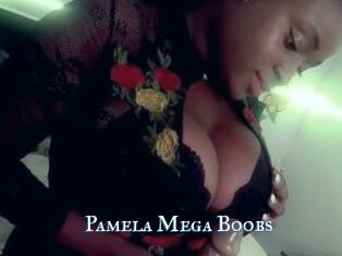 Pamela_Mega_Boobs