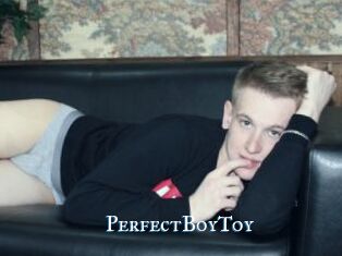 PerfectBoyToy