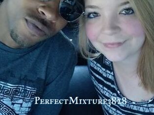 PerfectMixture3828