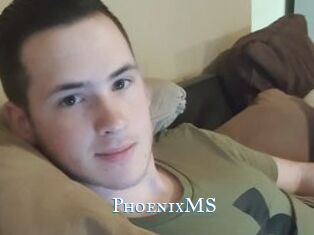 PhoenixMS