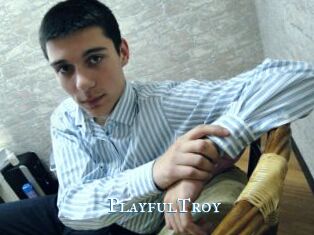 PlayfulTroy