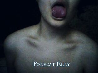 Polecat_Elly