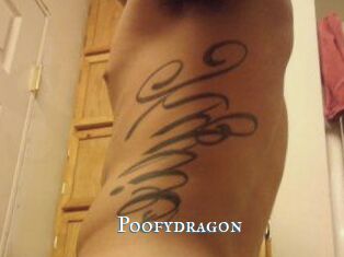 Poofydragon
