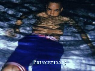 Prince112233