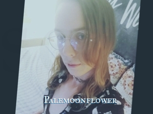 Palemoonflower