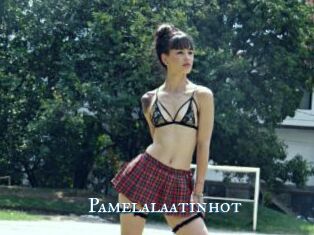 Pamelalaatinhot