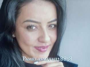 Pamelasmith128858
