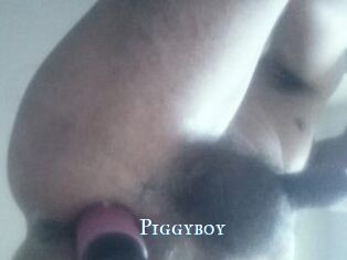 Piggyboy