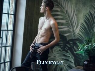 Pluckygay