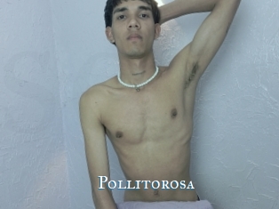 Pollitorosa