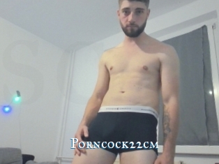 Porncock22cm
