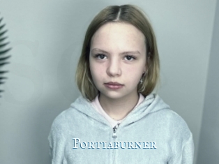 Portiaburner