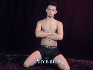 Price_big23