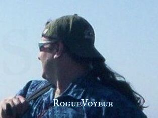 RogueVoyeur