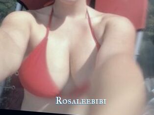 Rosaleebibi