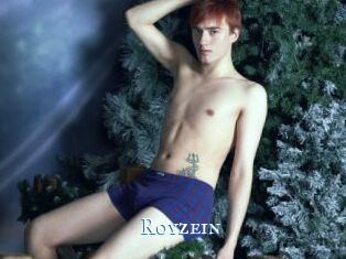 Royzein