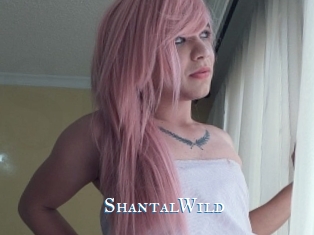ShantalWild sexchat