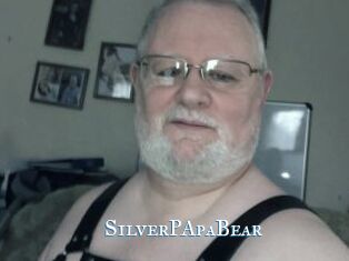 SilverPApaBear