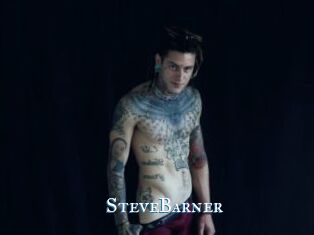 SteveBarner