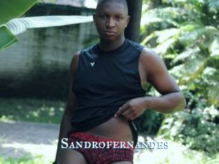 Sandrofernandes