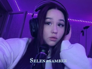 Selenagambee