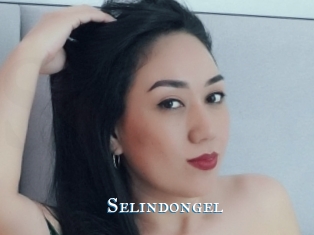 Selindongel