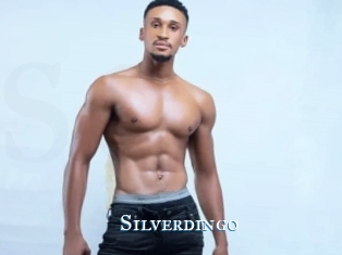 Silverdingo