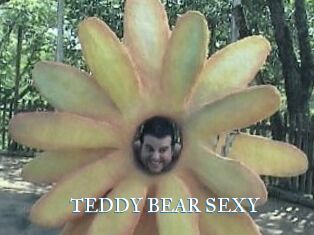 TEDDY_BEAR_SEXY