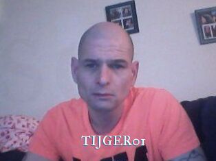 TIJGER01