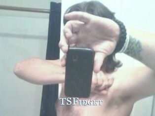 TSFidget