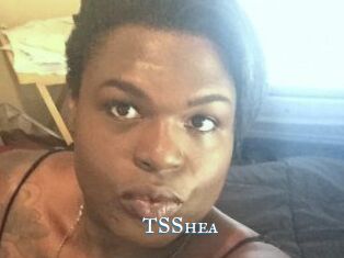 TS_Shea