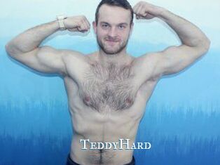 TeddyHard