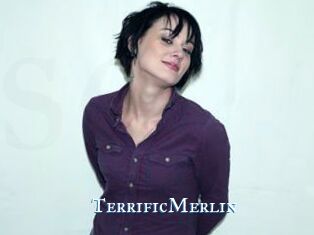 TerrificMerlin