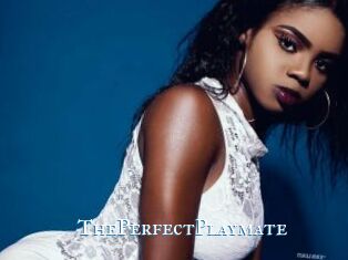 ThePerfectPlaymate