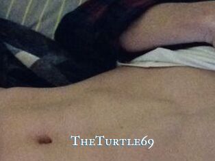 TheTurtle69