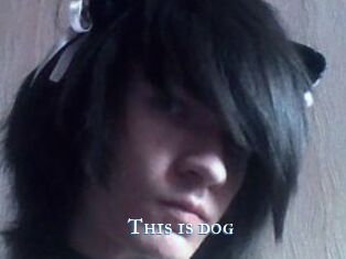 This_is_dog