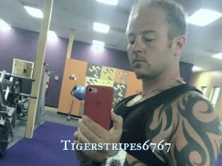 Tigerstripes6767