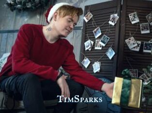 TimSparks